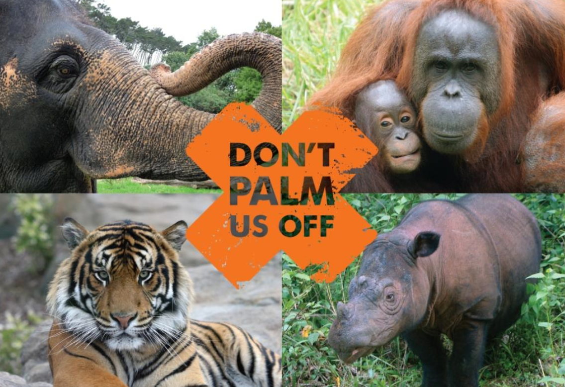 Why We Palm Oil & How You Can Help - Blog | Natural Lipstick