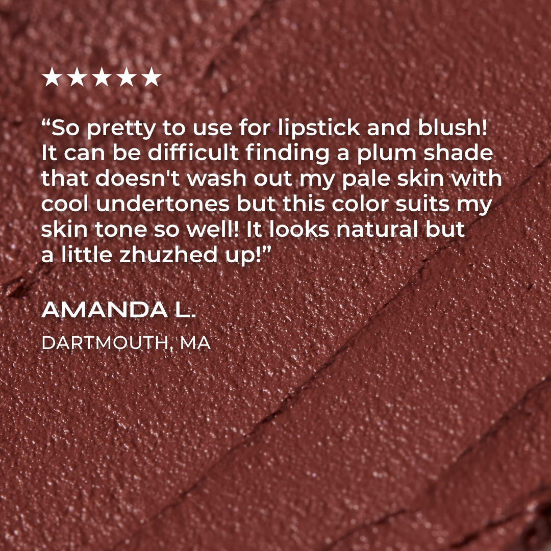 axiology multi-use vegan balmie lipstick - NUDE PLUM - Soft, muted rose with a hint of plum
