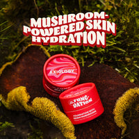 Thumbnail for Fungdation - Mushroom Foundation