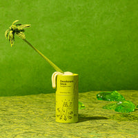 Thumbnail for Deodorant Stick - Eucalyptus Lemon